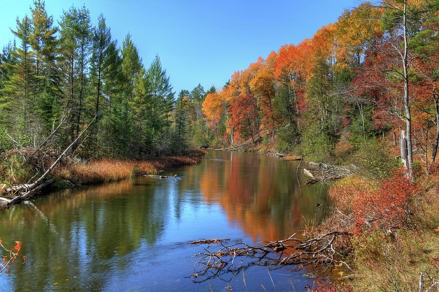 Landscape Photograph - AuSable River by Marj Esch Landscape Photograph - AuSable River by Marj Esch