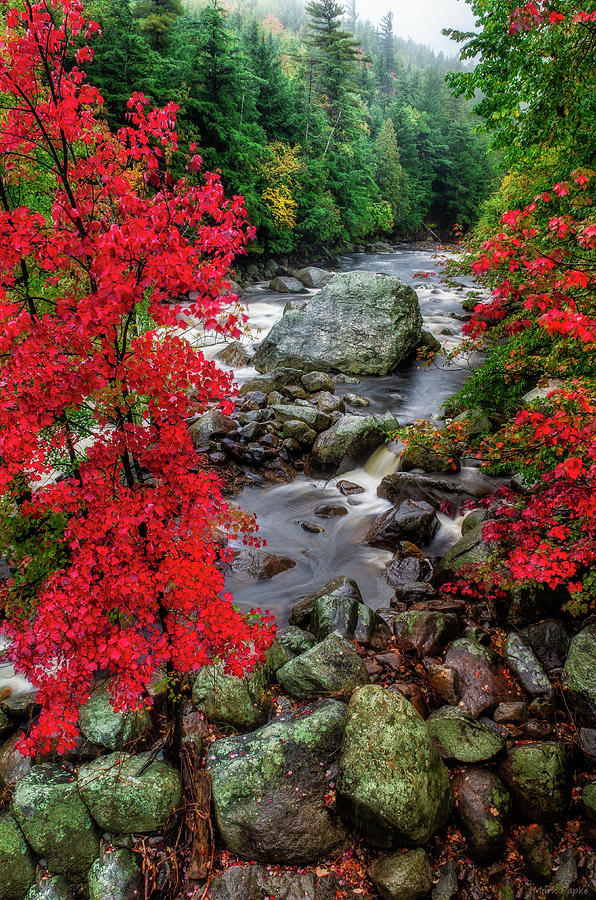 Nature Photograph - Ausable River by Mark Papke