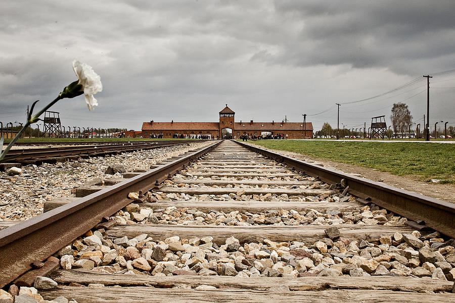 Auschwitz Photograph by Benstevens