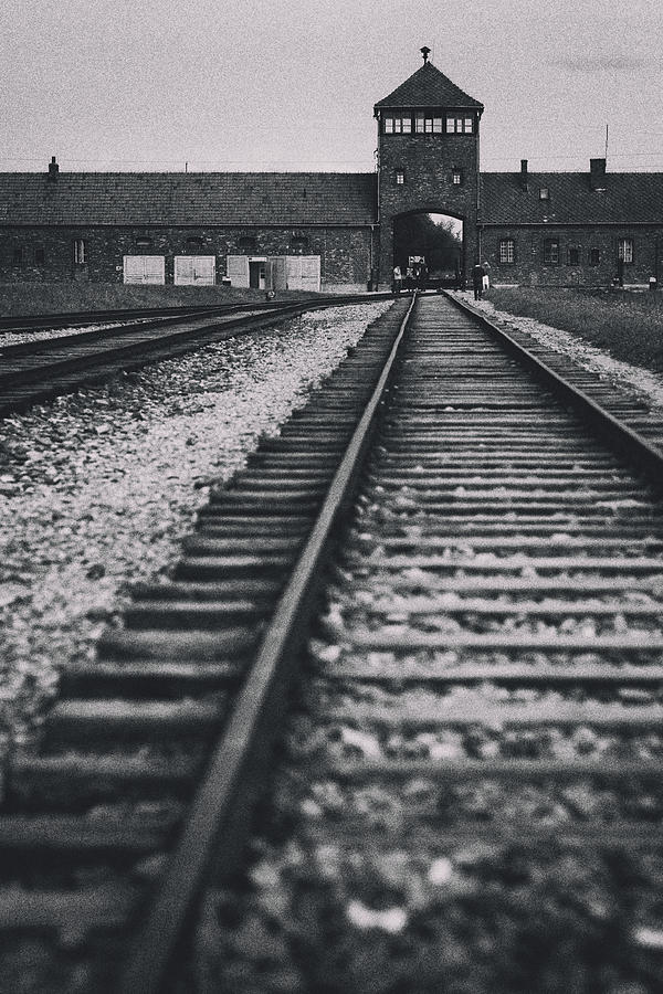 Auschwitz-Birkenau tracks Photograph by Marcus Lindstrom
