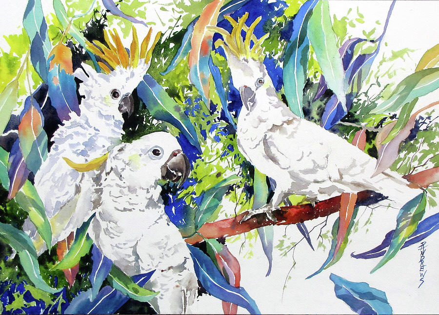 Bird Painting - Aussie Standoff by Rae Andrews