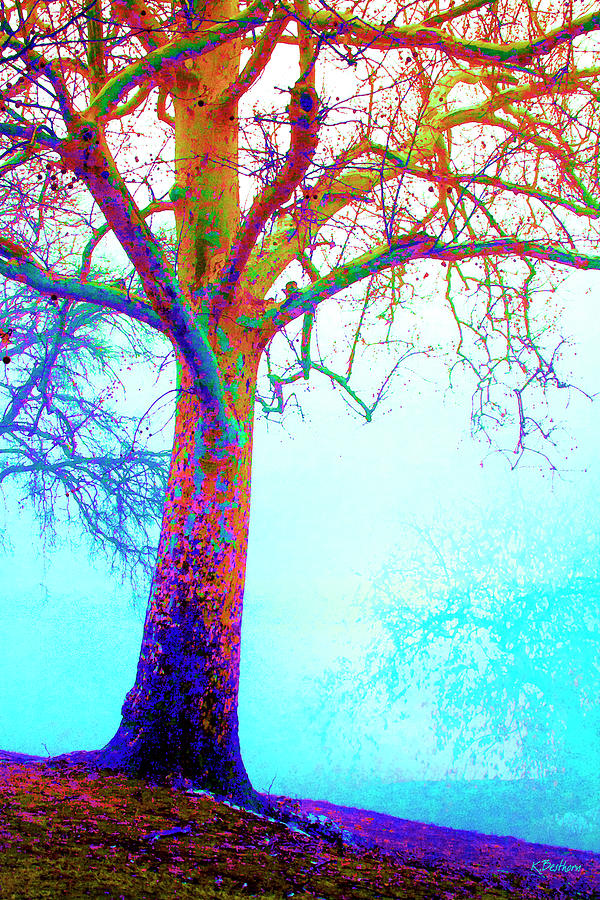 Austere Tree Digital Art by Kathy Besthorn