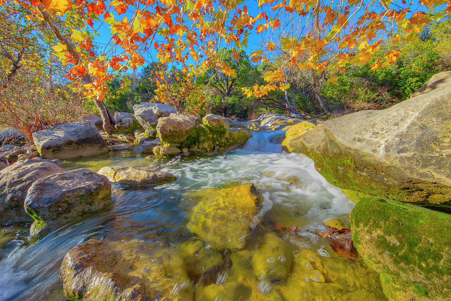 Fall Photograph - Austin Greenbelt in Autumn 11291 by Rob Greebon