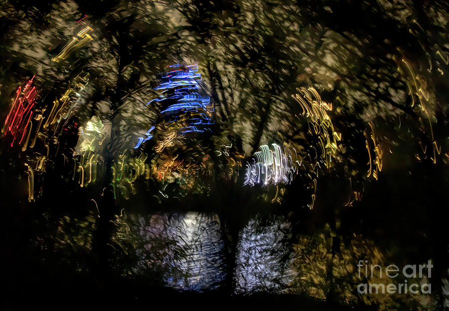Austin Town Lake Series- Kaleidoscopic Woods Photograph