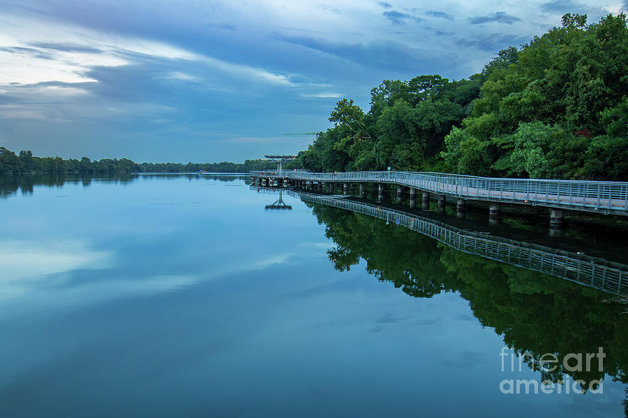 Austins Boardwalk at Dusk A Peaceful Retreat Photograph by Brigitte Blanchette Thompson Austins Boardwalk at Dusk A Peaceful Retreat Photograph by Brigitte Blanchette Thompson