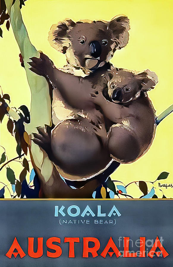 Australia Koala Retro Travel Poster Drawing by M G Whittingham