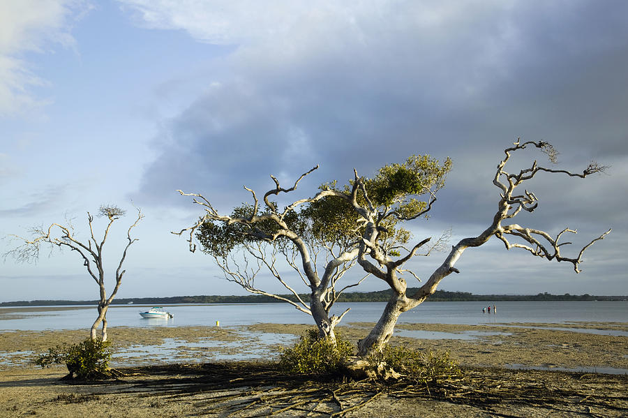 Australia, Queensland, Fraser Island, Rainbow beach Photograph by Walter Bibikow
