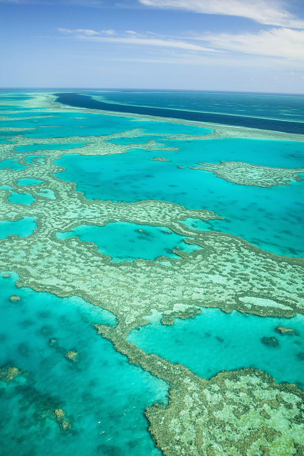 Australia, Queensland, Whitsunday Islands, Great Barrier Reef Photograph by Walter Bibikow