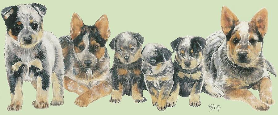 Australian Cattle Dog Puppies Mixed Media by Barbara Keith