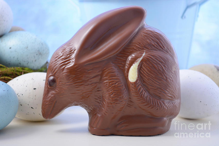 Australian Chocolate Easter Bilby