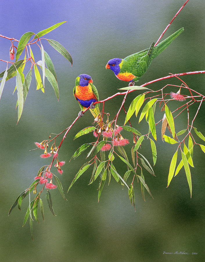 Australian Eden - Rainbow Lorikeets Painting Frances