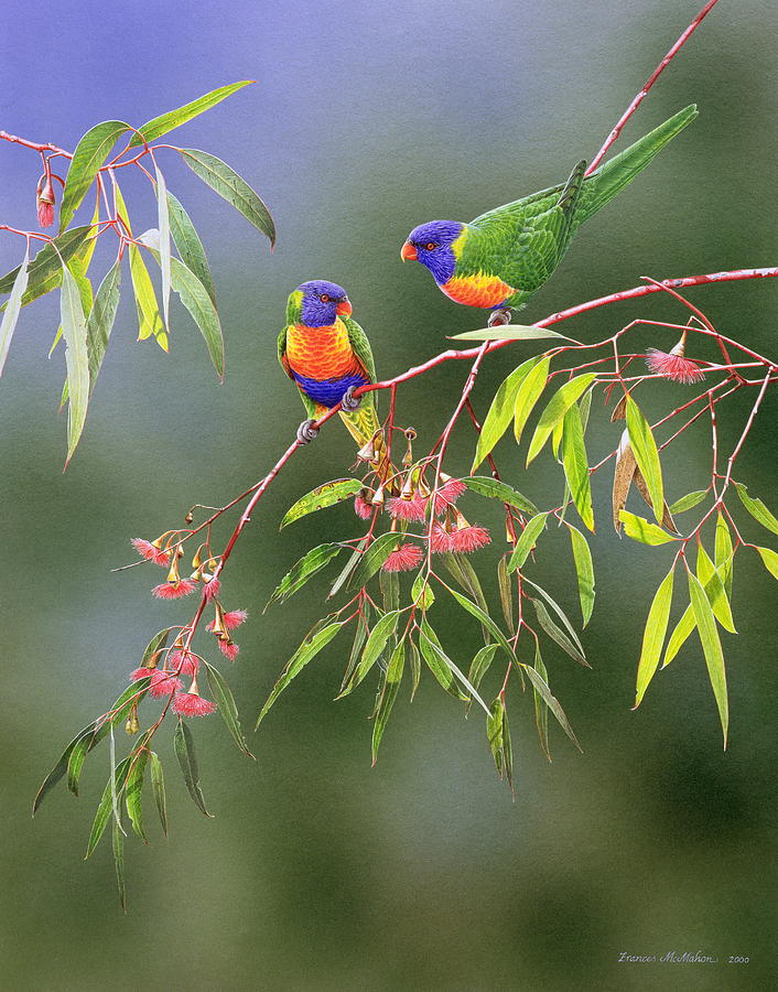 Australian Eden - Rainbow Lorikeets Painting by Frances McMahon | Fine