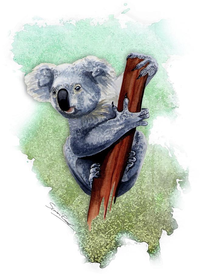 Australian Koala Painting by Simon Read