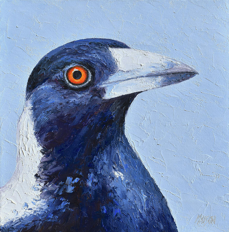 Australian Magpie - native birds Painting by Jan Matson