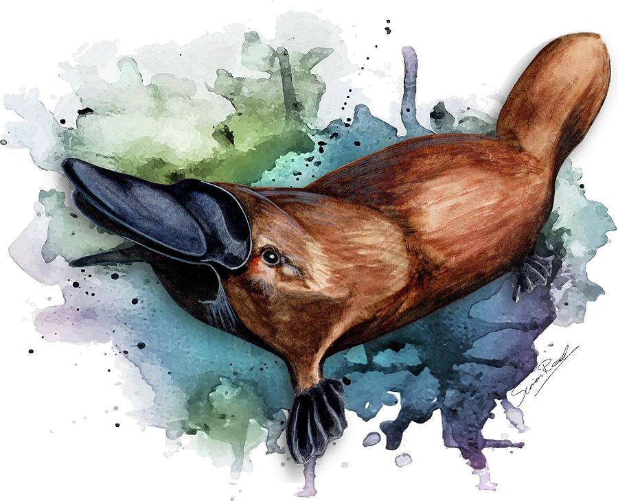 Australian Platypus Painting by Simon Read