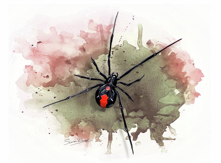 Australian Redback Spider Painting by Simon Read