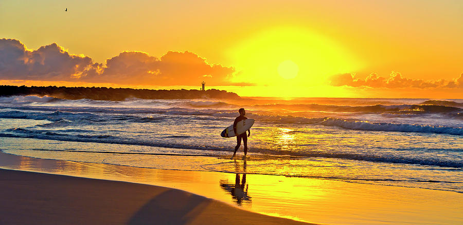 Australian Surfer Photograph by Robert Libby