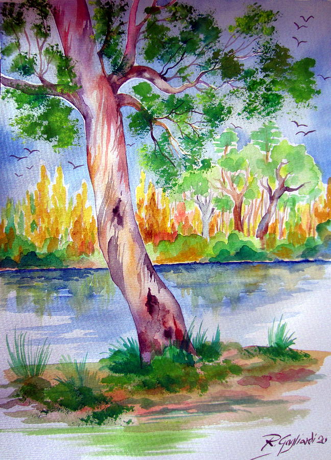 Australian Tree by the River Painting by Roberto Gagliardi
