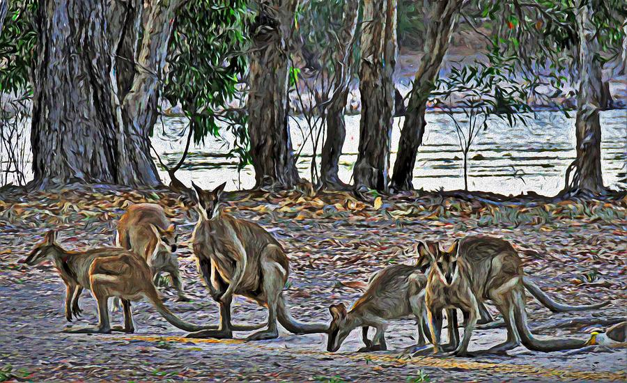 Australian Wallabies At The Billabong Mixed Media by Joan Stratton