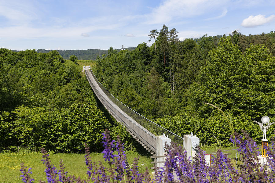 Austria, Carinthia, View of rope bridge Photograph by Westend61