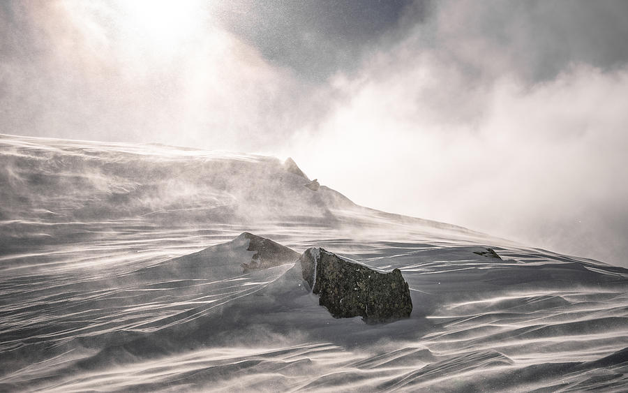 Austria, Snow storm forming snowy landscape Photograph by Coberschneider