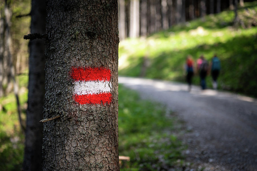 Austrian Hiking Blaze Or Trail Marker, Austria, Europe Photograph