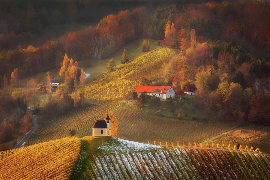 Fall Photograph - Austrian vineyards by Piotr Skrzypiec