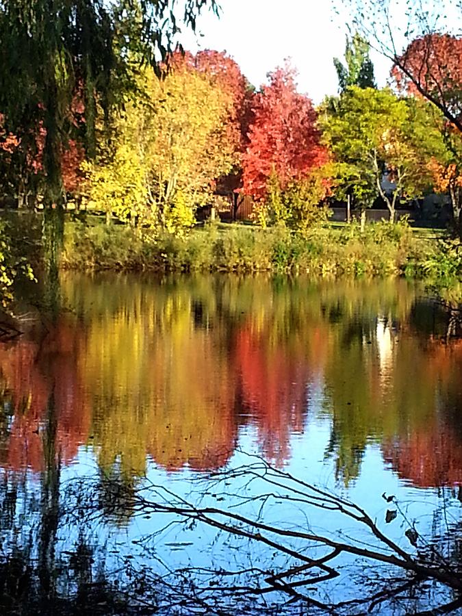 Autmun Reflections Photograph by Maureen Bartone - Fine Art America