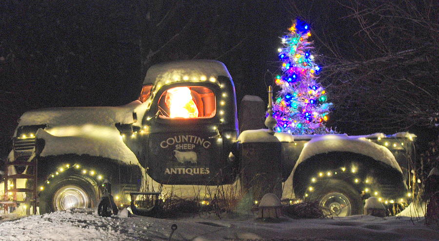 Christmas Lights Photograph by Robert Parker - Fine Art America