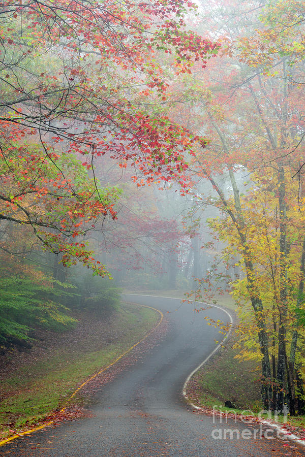 Fall Photograph - Autumm Road - D010923 by Daniel Dempster