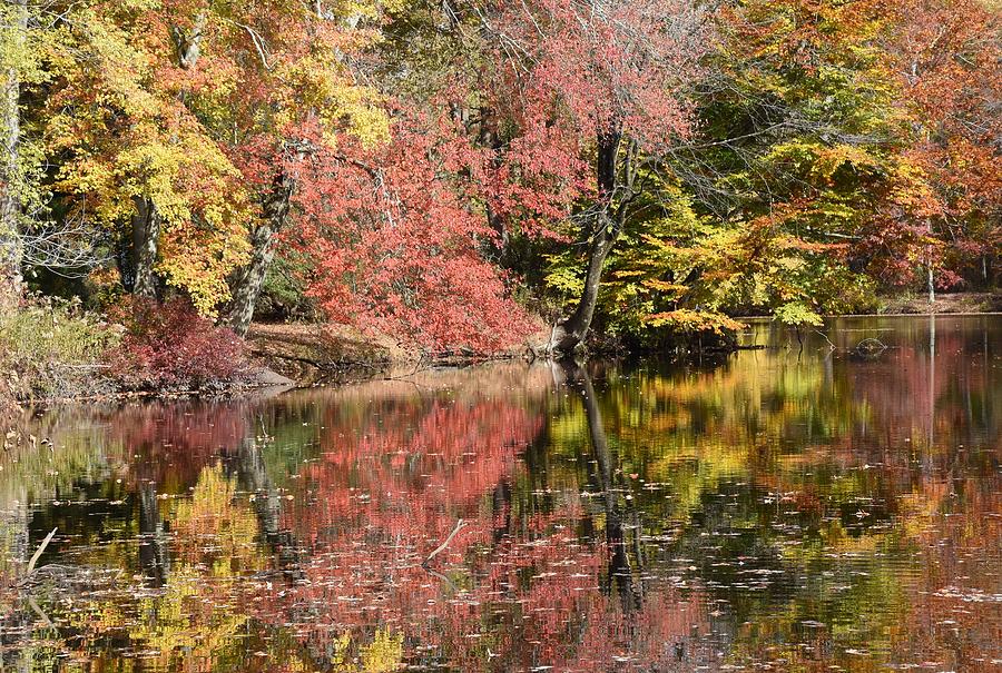 Autumn 142 Photograph by Joyce StJames