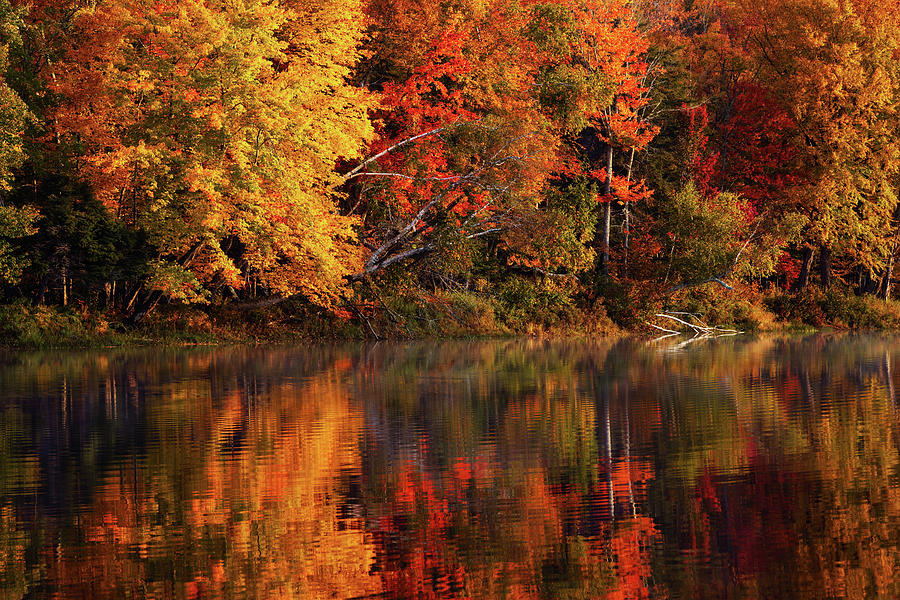 Autumn 34A4150 Photograph by Greg Hartford