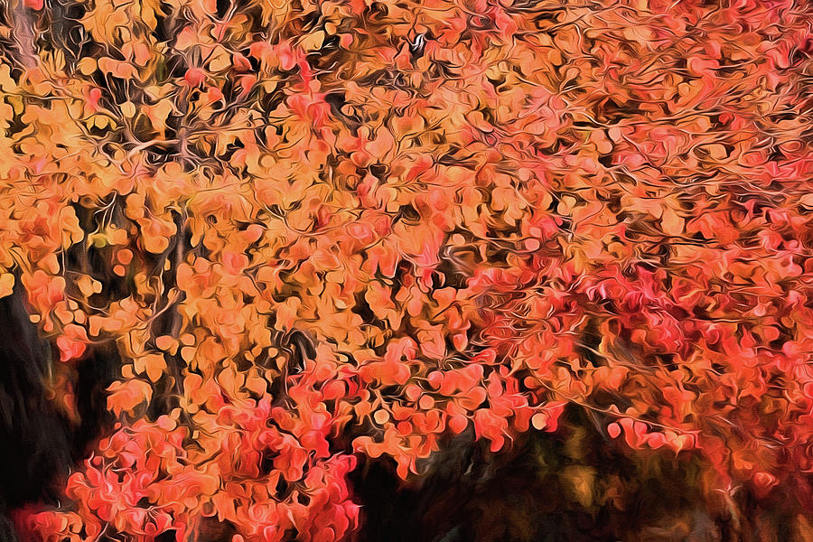 Autumn Abstract 1 Digital Art by JC Findley