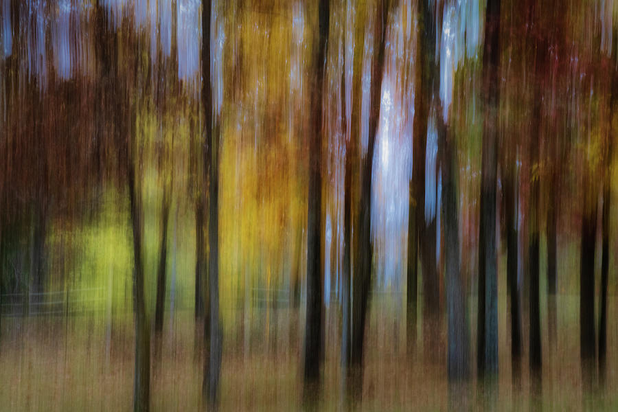 Autumn Abstract Photograph by Allin Sorenson