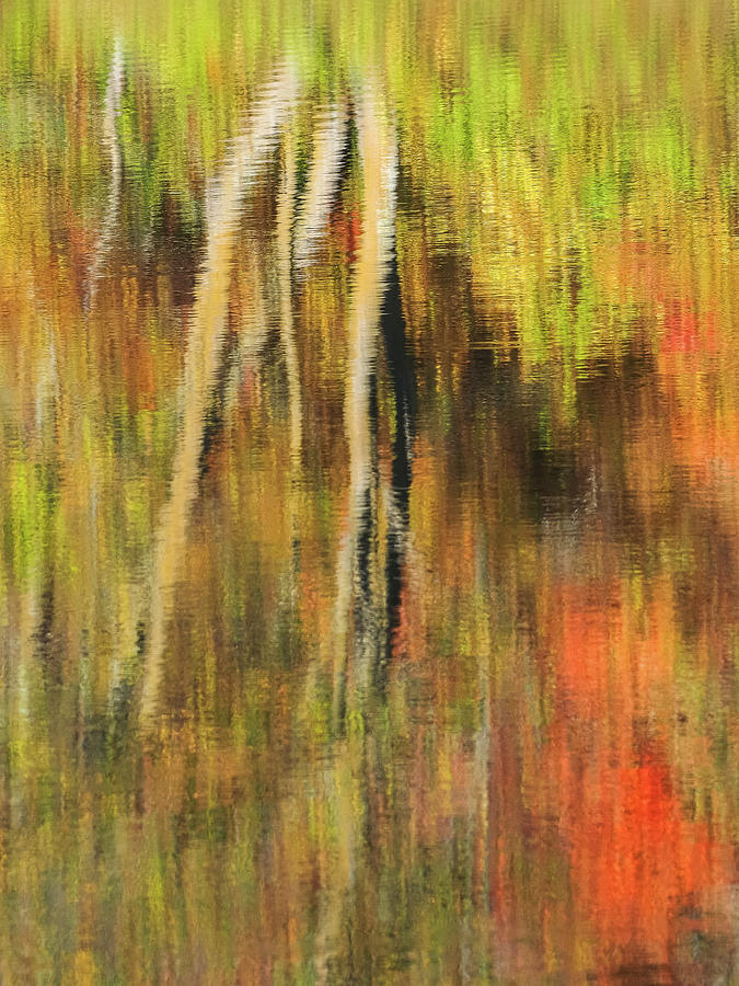 Autumn Abstract Photograph by Penny Meyers