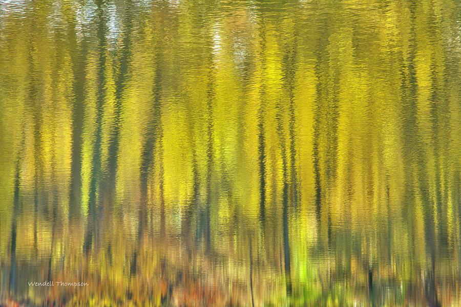 Autumn Abstract Photograph by Wendell Thompson
