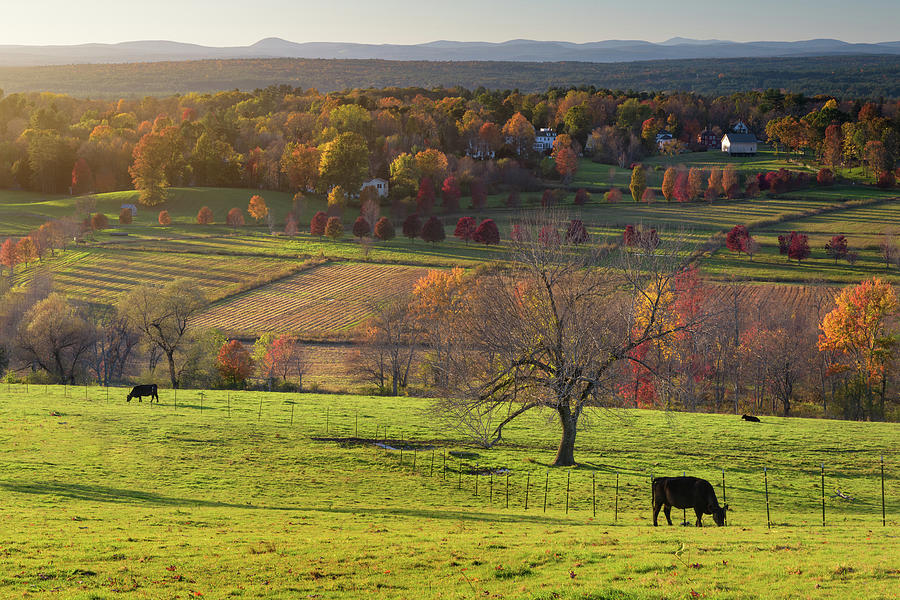 Autumn Afternoon at Gibbet Hill Photograph by Kristen Wilkinson
