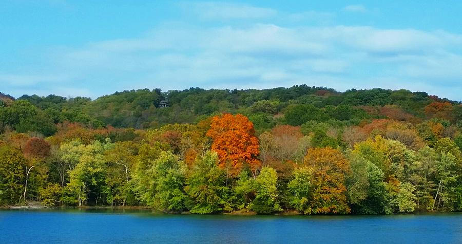 Autumn Afternoon at Radnor Lake  Photograph by Ally White