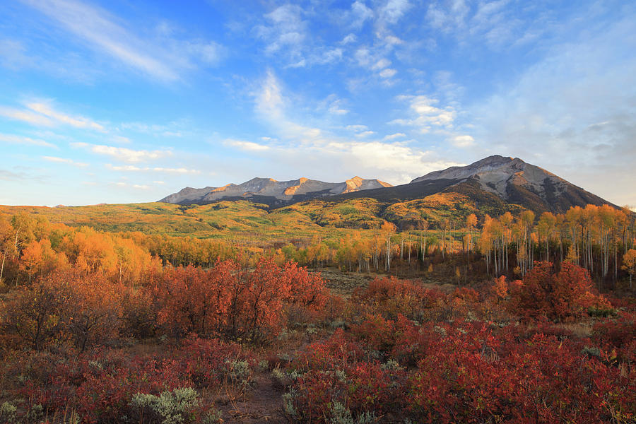Autumn Afternoon Below The Beckwith Mountains Photograph