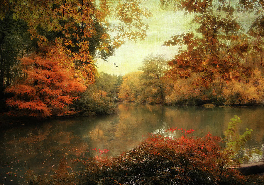 Autumn Afternoon  Photograph by Jessica Jenney