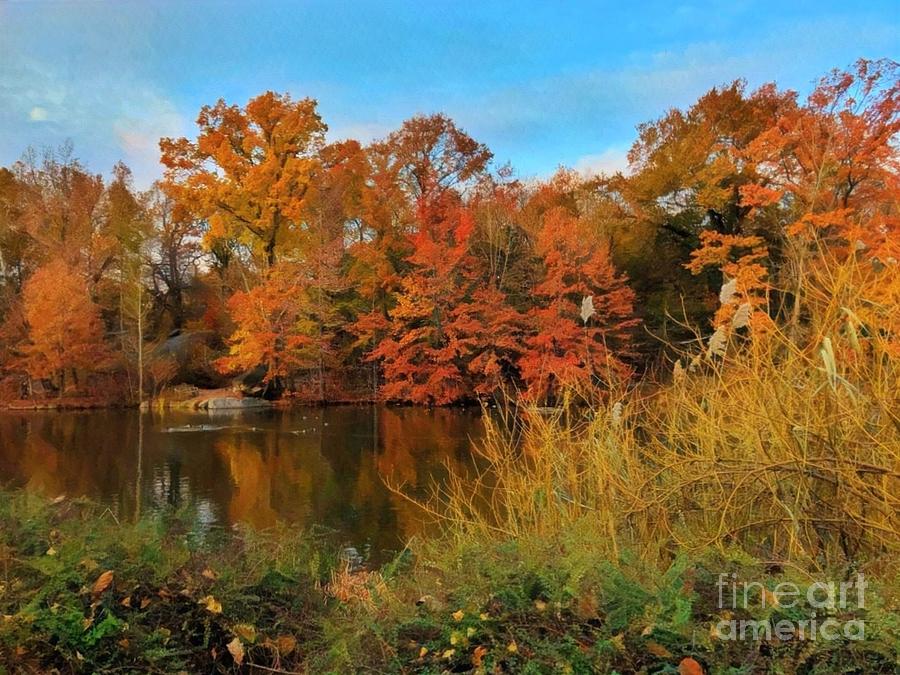 Autumn Afternoon - Prints - Puzzles - and More Photograph by Miriam Danar
