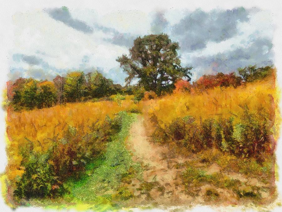Autumn Afternoon on the Trail Mixed Media by Christopher Reed
