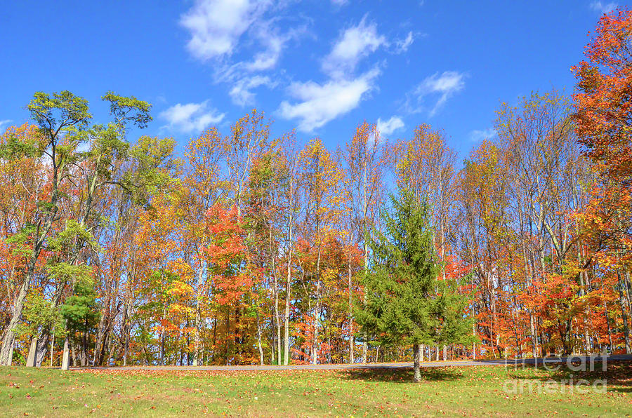 Autumn Against the Sky - Pipestem State Park Photograph by Kerri Farley