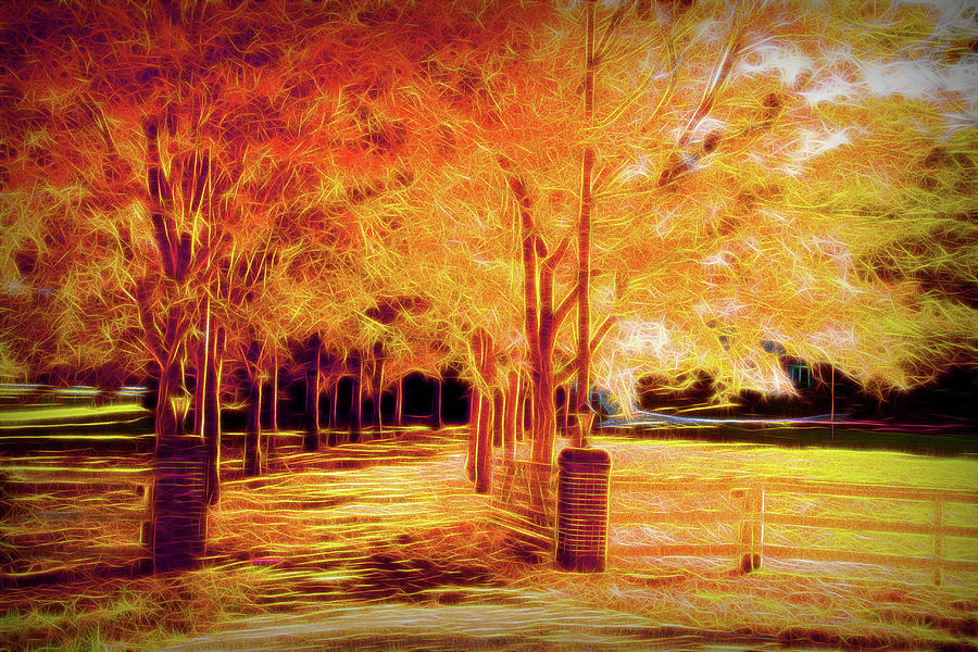 Autumn Alley Artistic Photograph