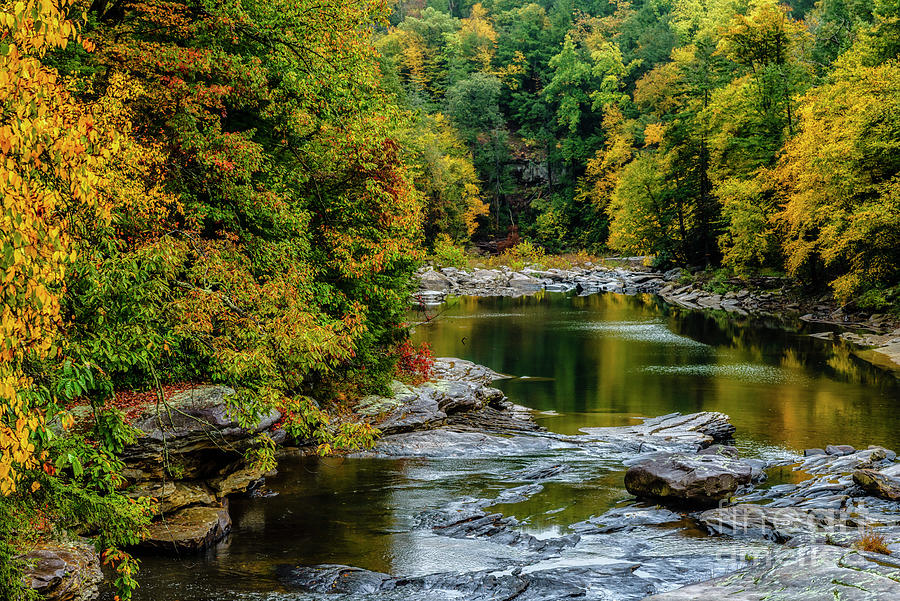 Autumn Along Middle Fork River Photograph