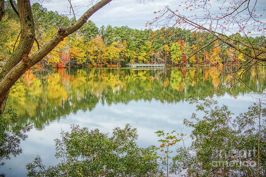 Autumn Along Sandy Bottom Lake Photograph