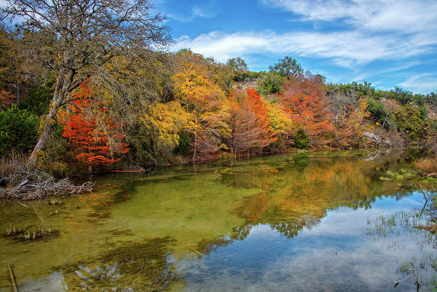 Autumn Along the Guadalupe River Photograph by Lynn Bauer