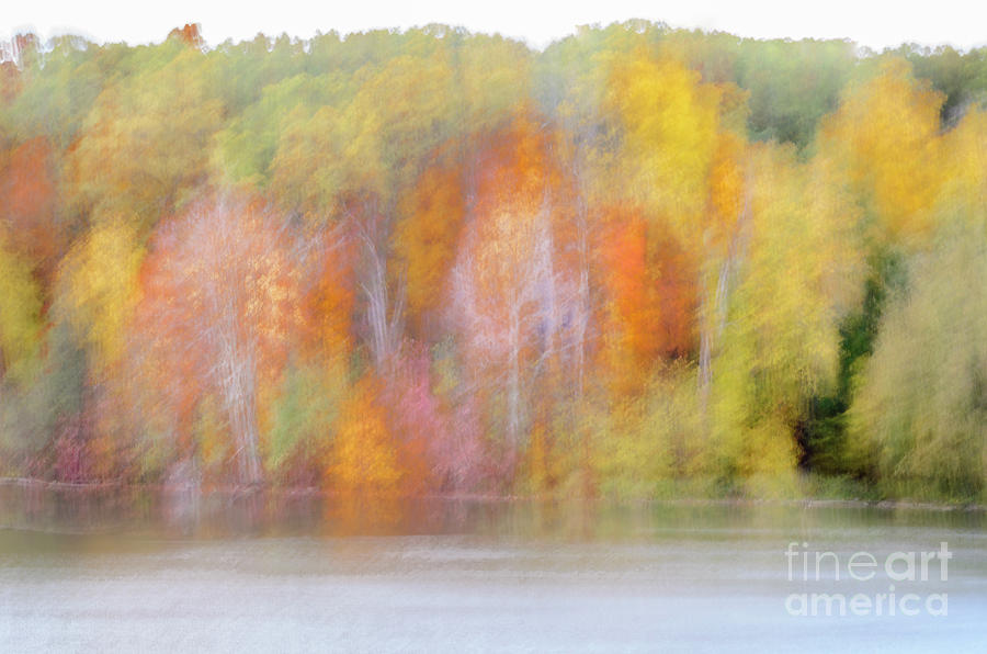 Autumn Along The Lake Photograph by Tamara Becker