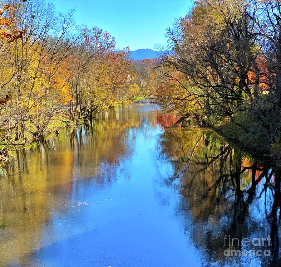 Autumn Along the Little Pigeon River Photograph by Kerri Farley