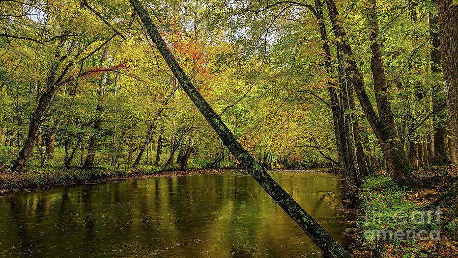 Autumn along the Ocanaluftee River 4 Photograph by Ron Long Ltd Photography